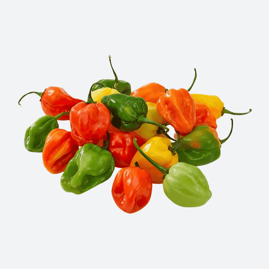 Habanero Pepper - 1lbs